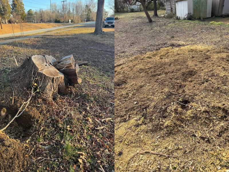 Stump Grinder Gurus