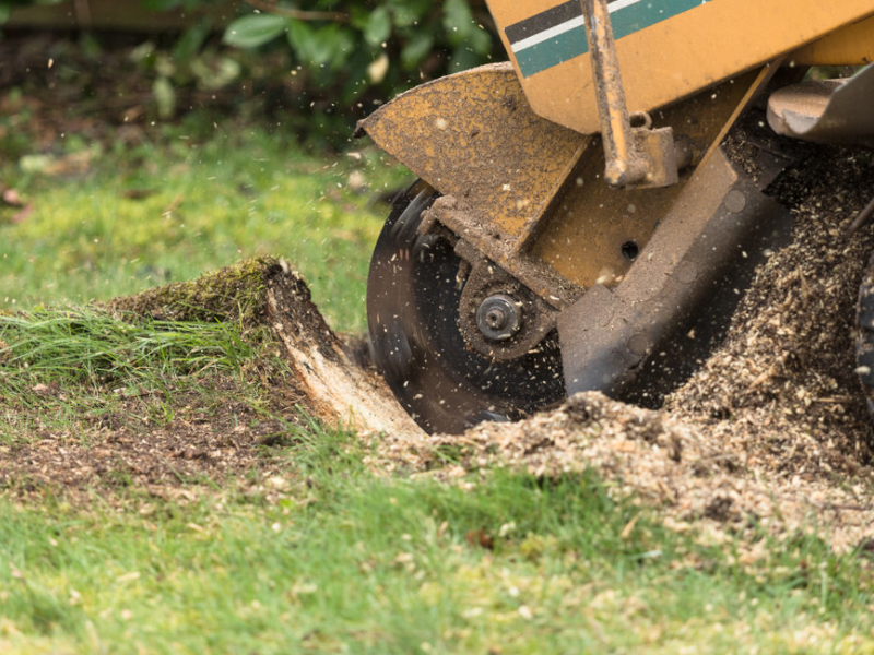 Stump Grinder Gurus